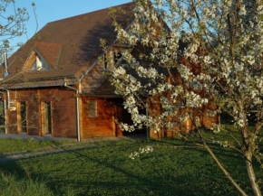 Chalet familial avec piscine, jardin et activités près du vignoble de Saint-Pourçain - FR-1-489-151